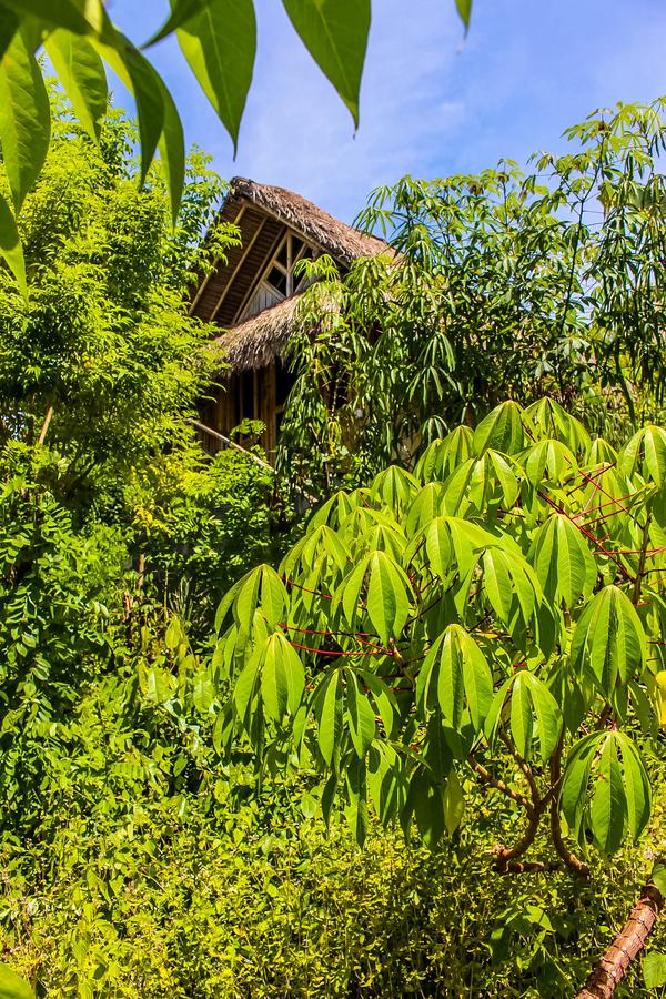 Echo Alam Nusa Lodge