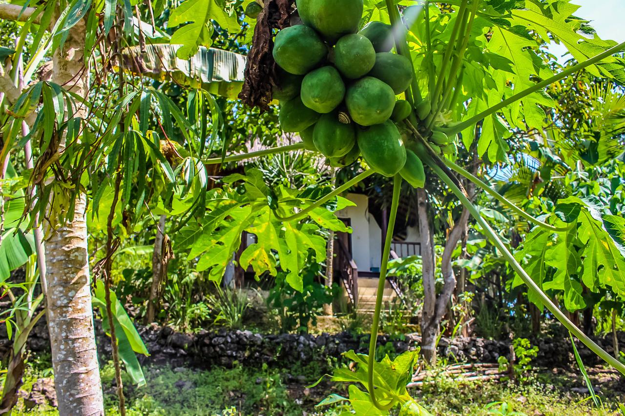Echo Alam Nusa Lodge