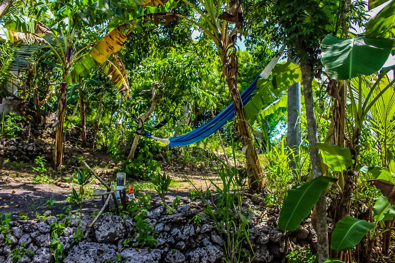 Echo Alam Nusa Lodge