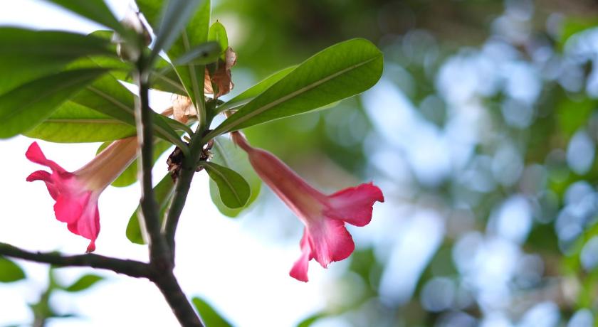 Pandawa Beach Home Stay