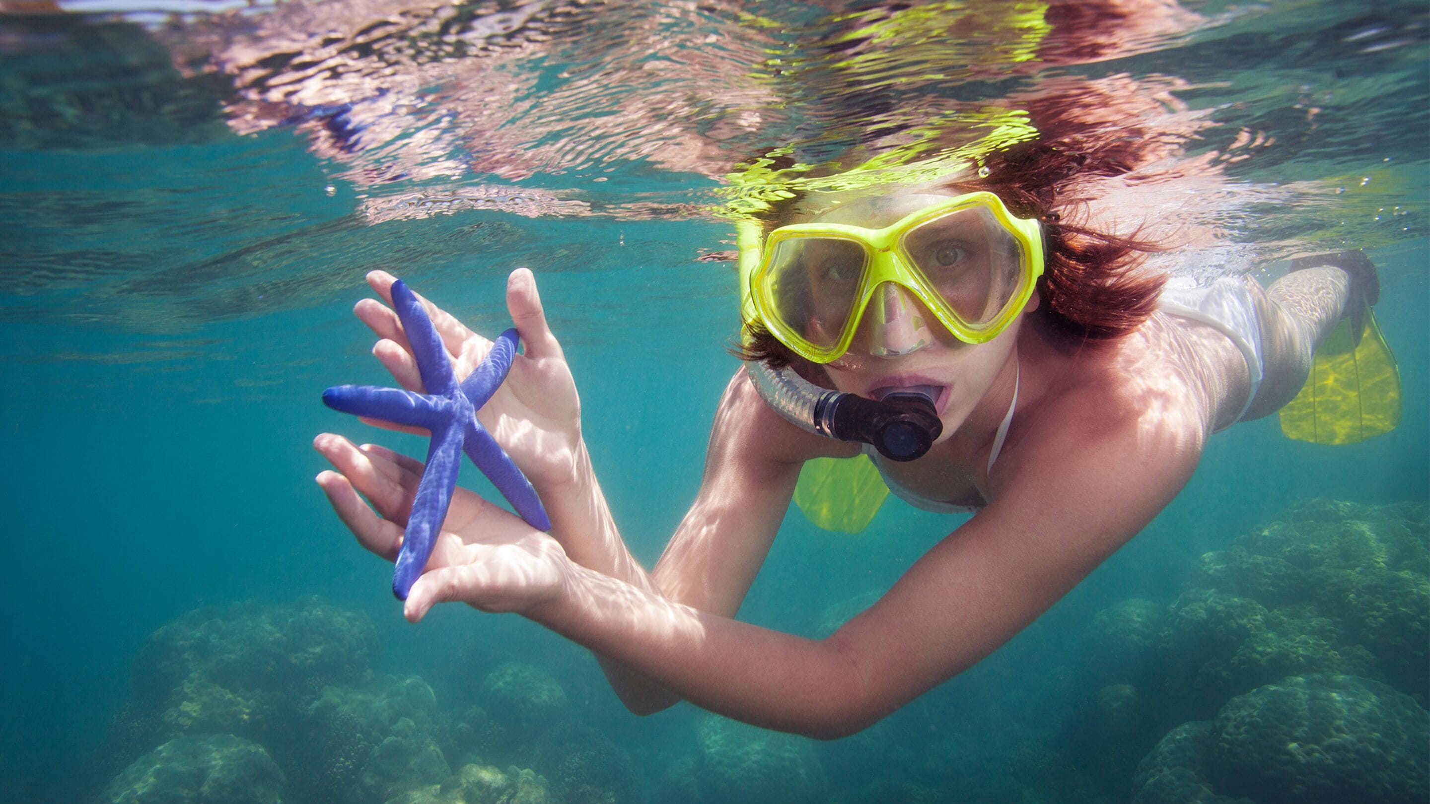 Samabe Bali Suites & Villas