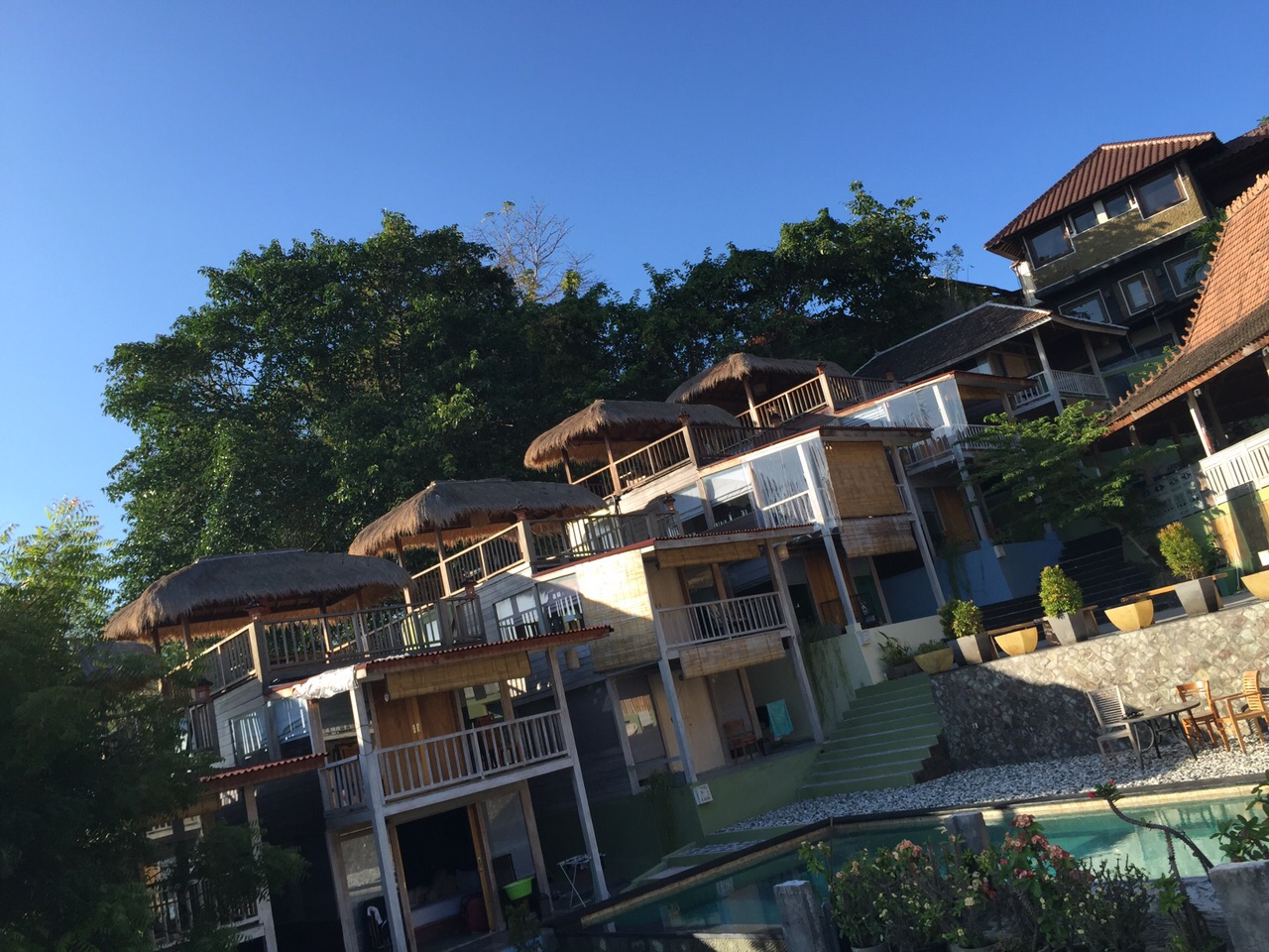 Tree House Lodge