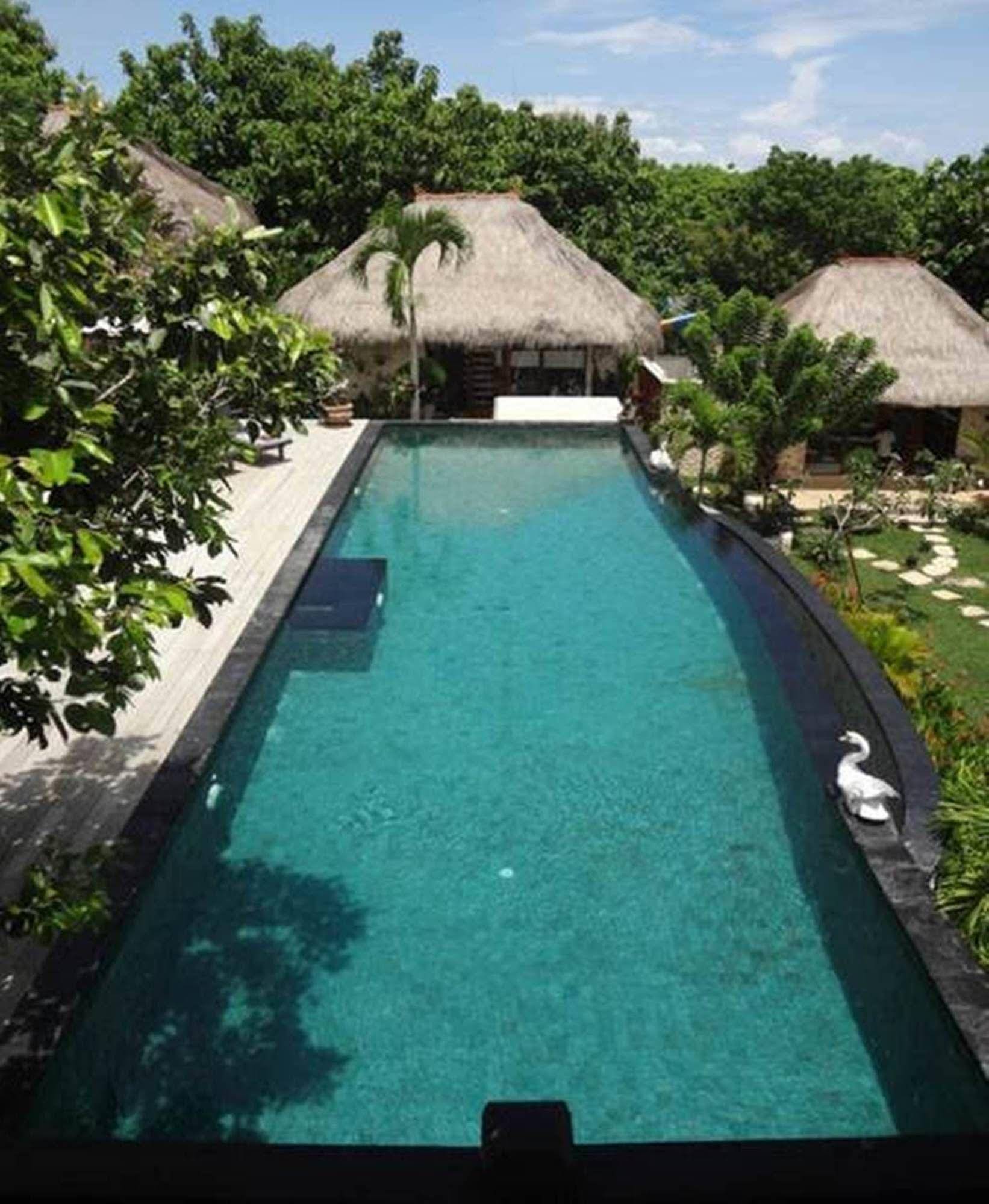 Villa Anjing