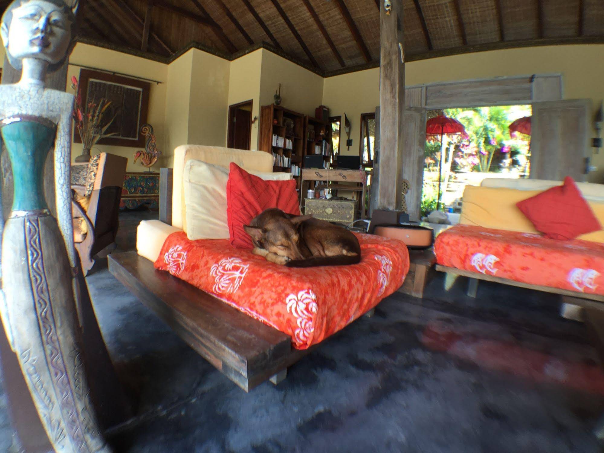 Villa Anjing