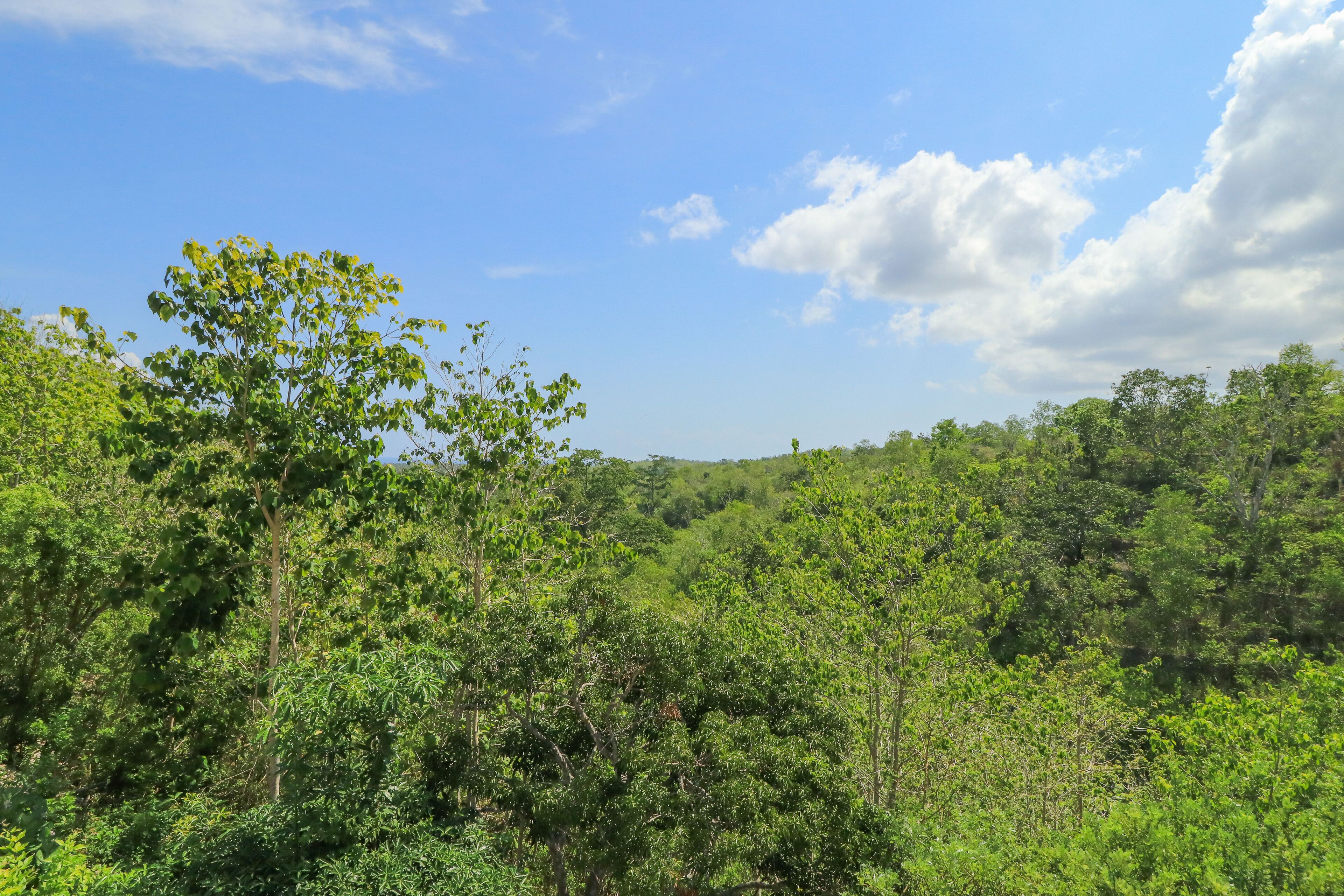 Abasan Hill Hotel and Spa