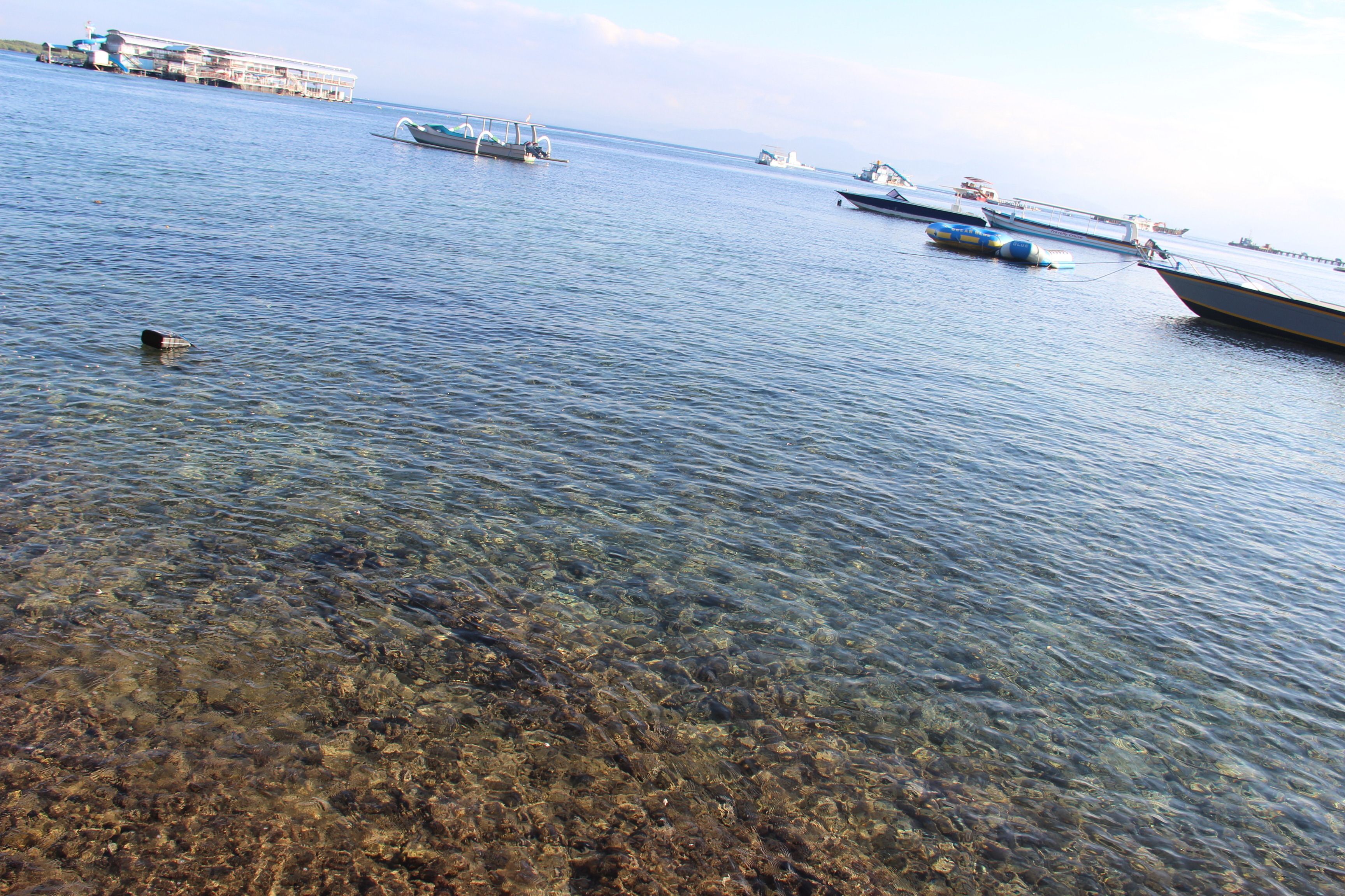 Agung View