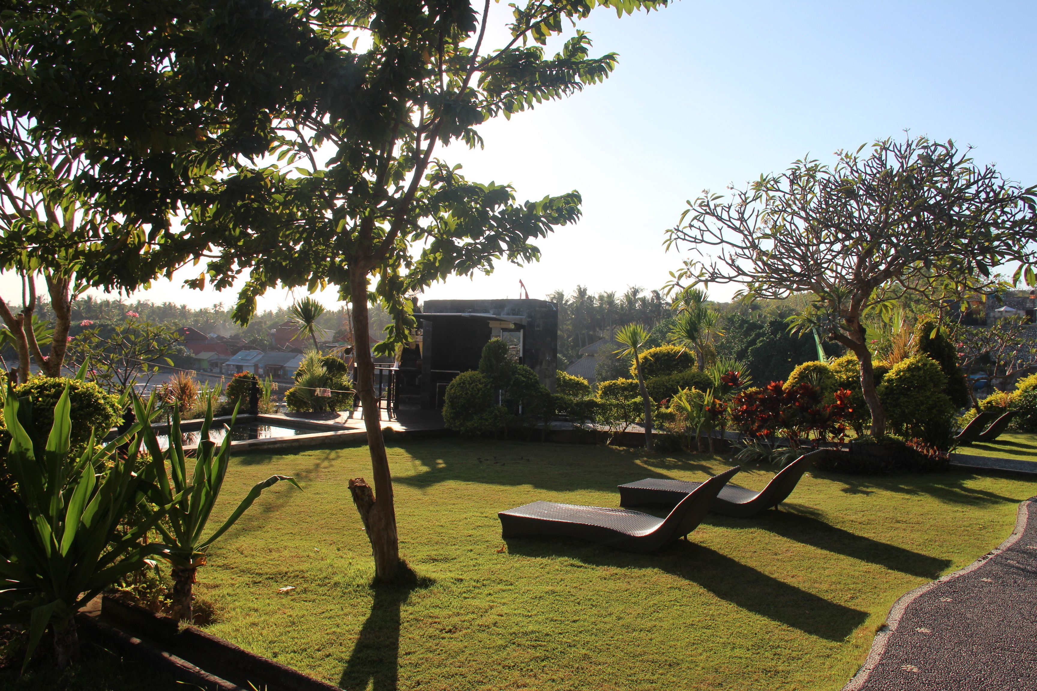 Agung View