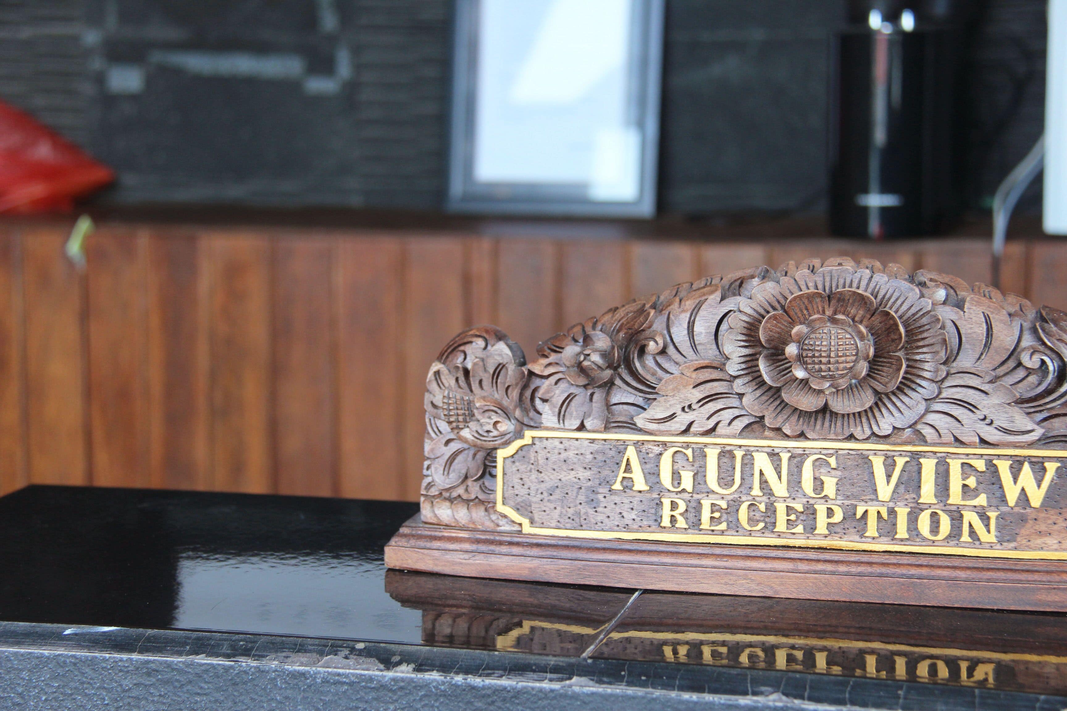 Agung View