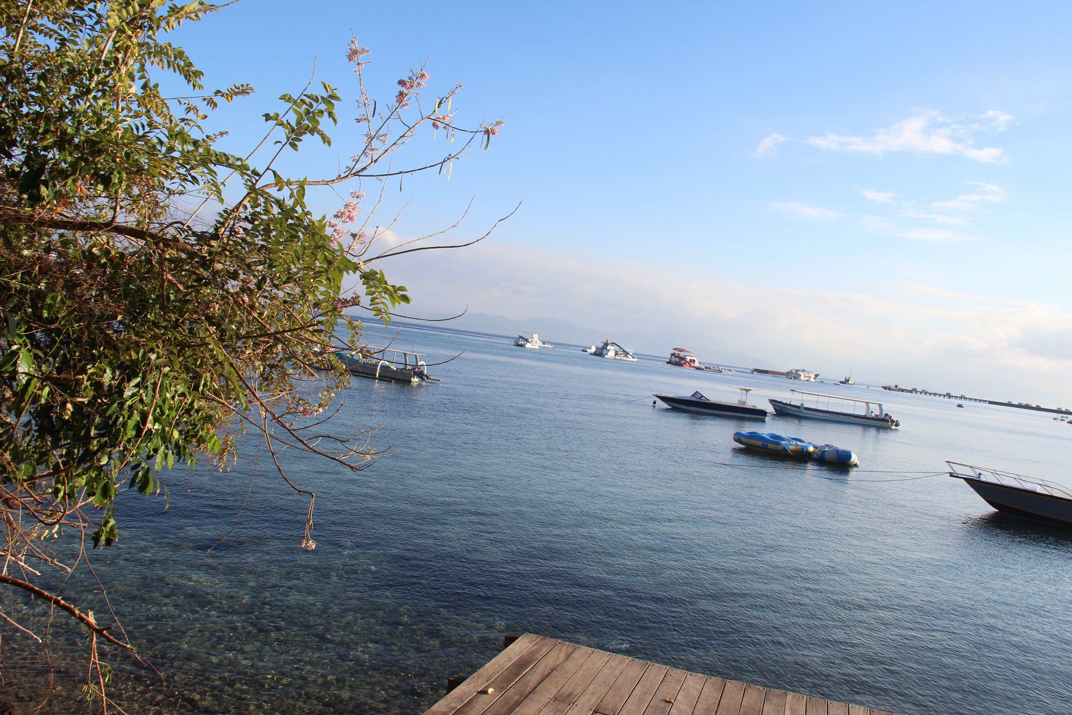 Agung View