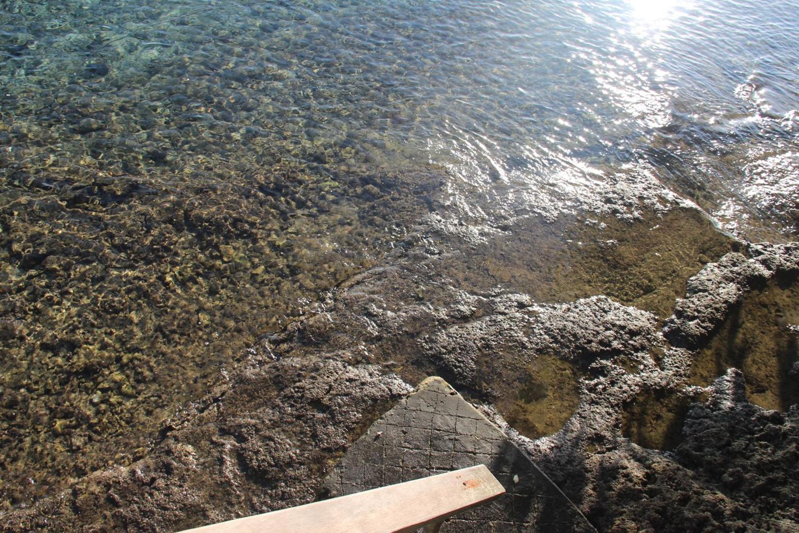 Agung View