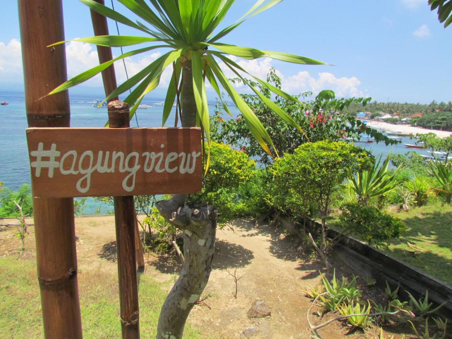 Agung View