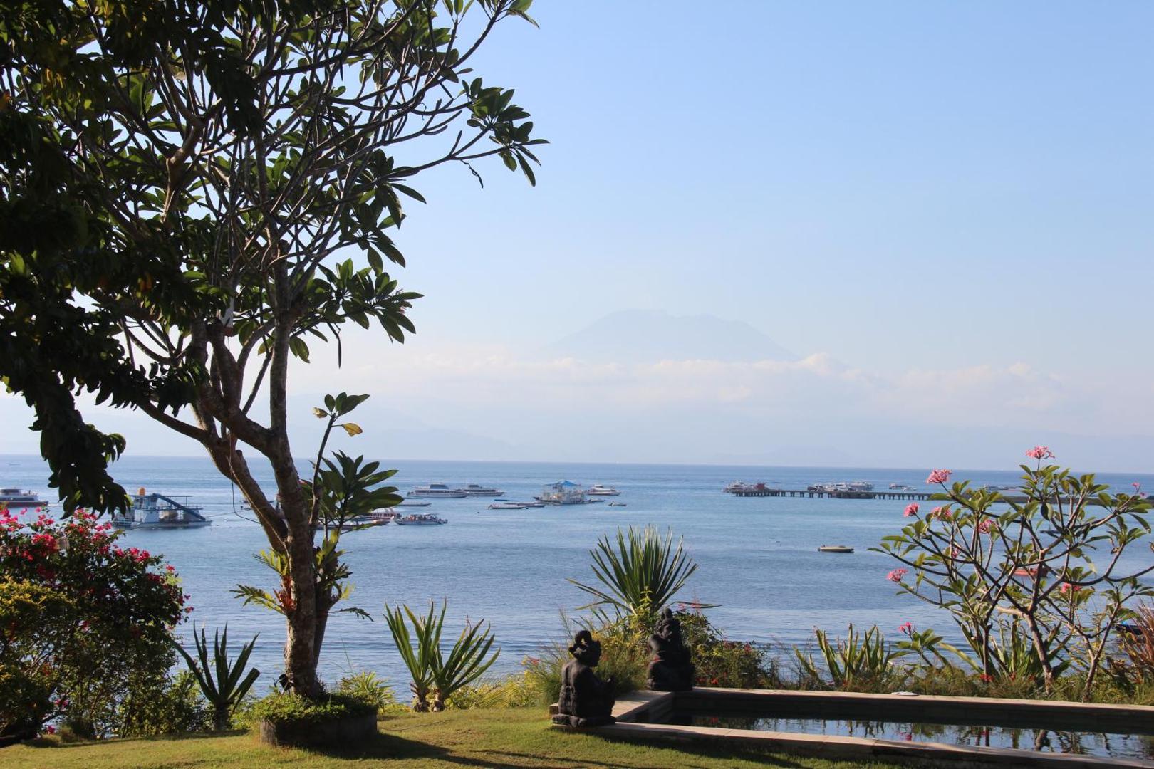 Agung View