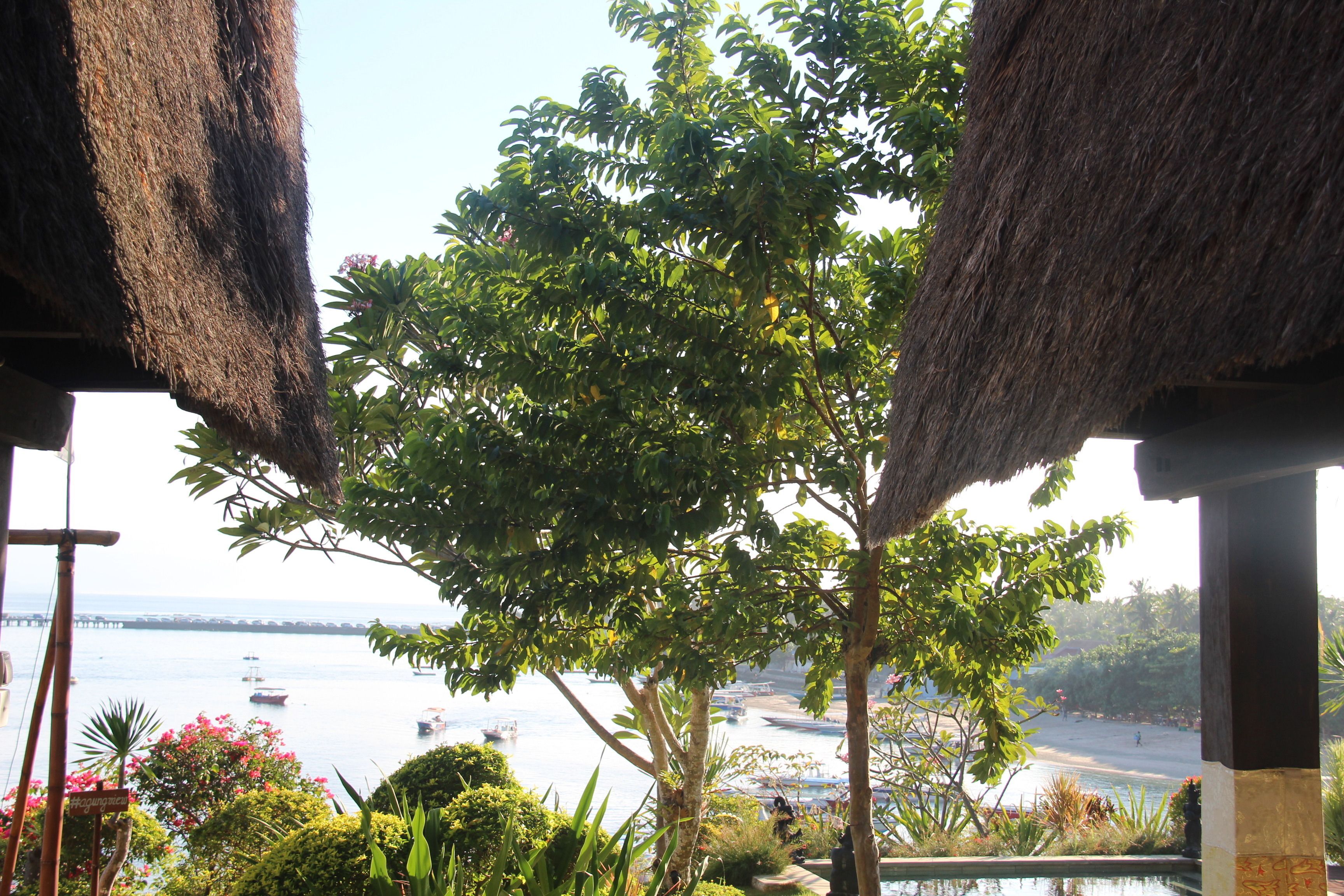Agung View