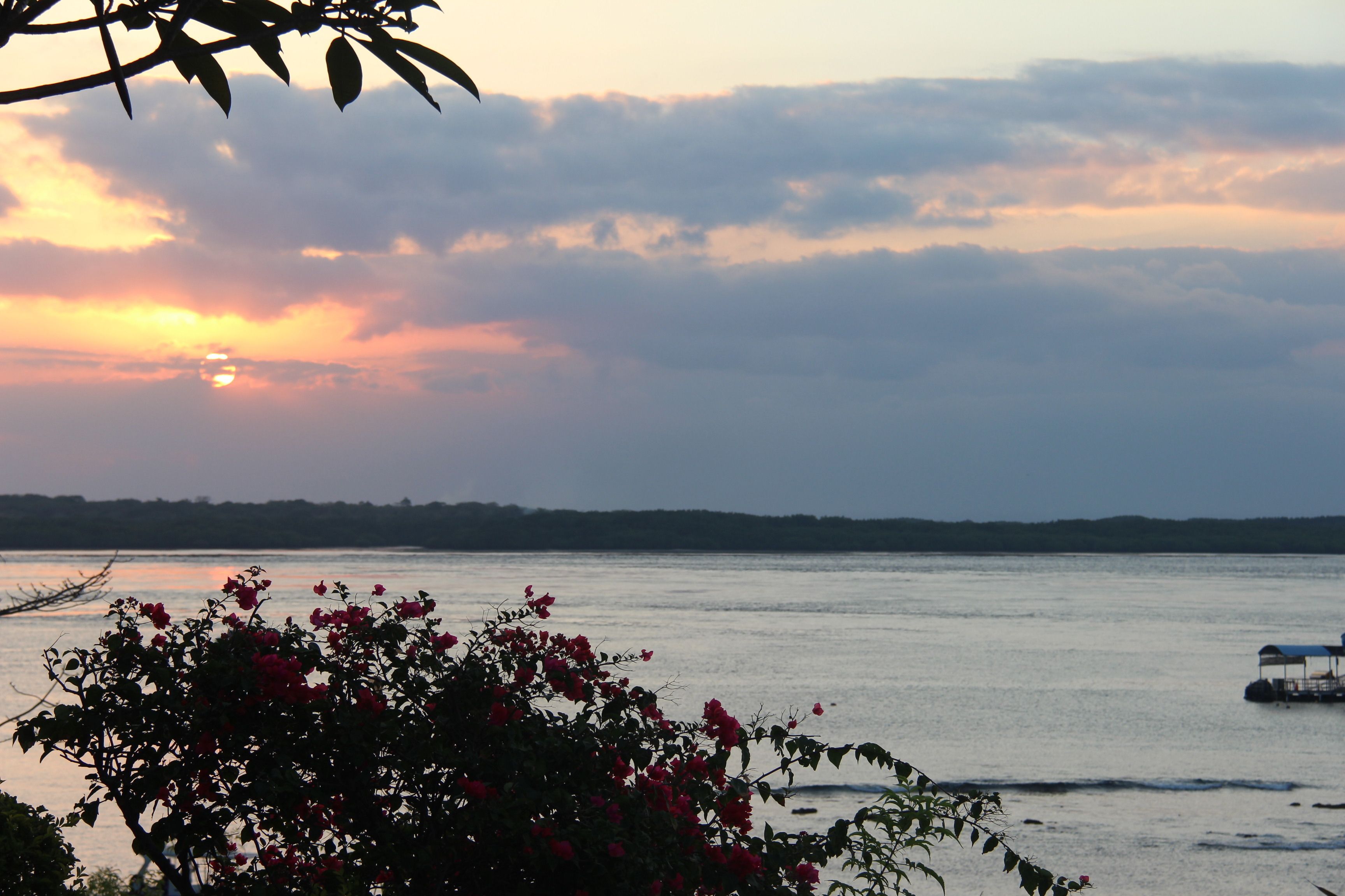 Agung View