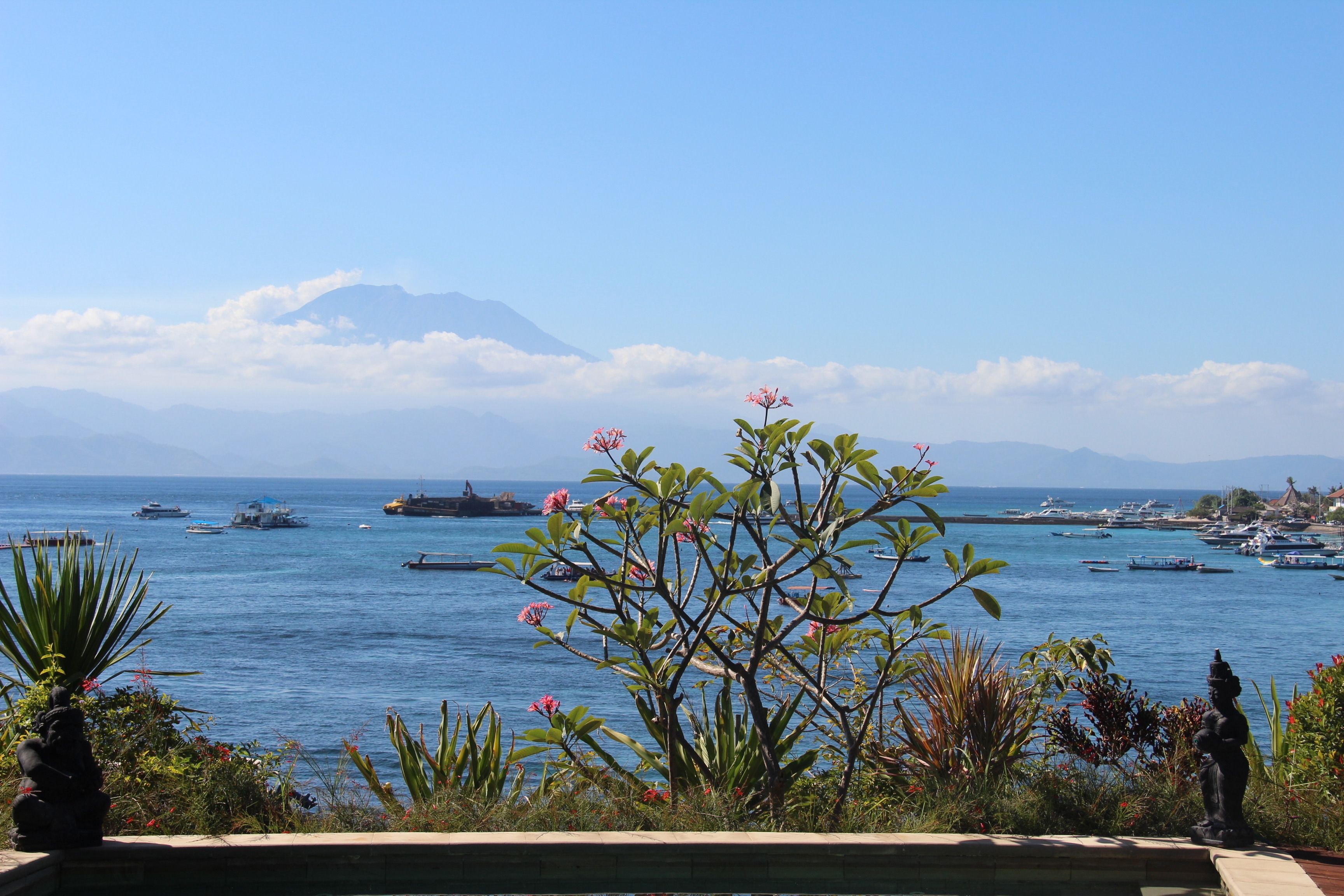 Agung View