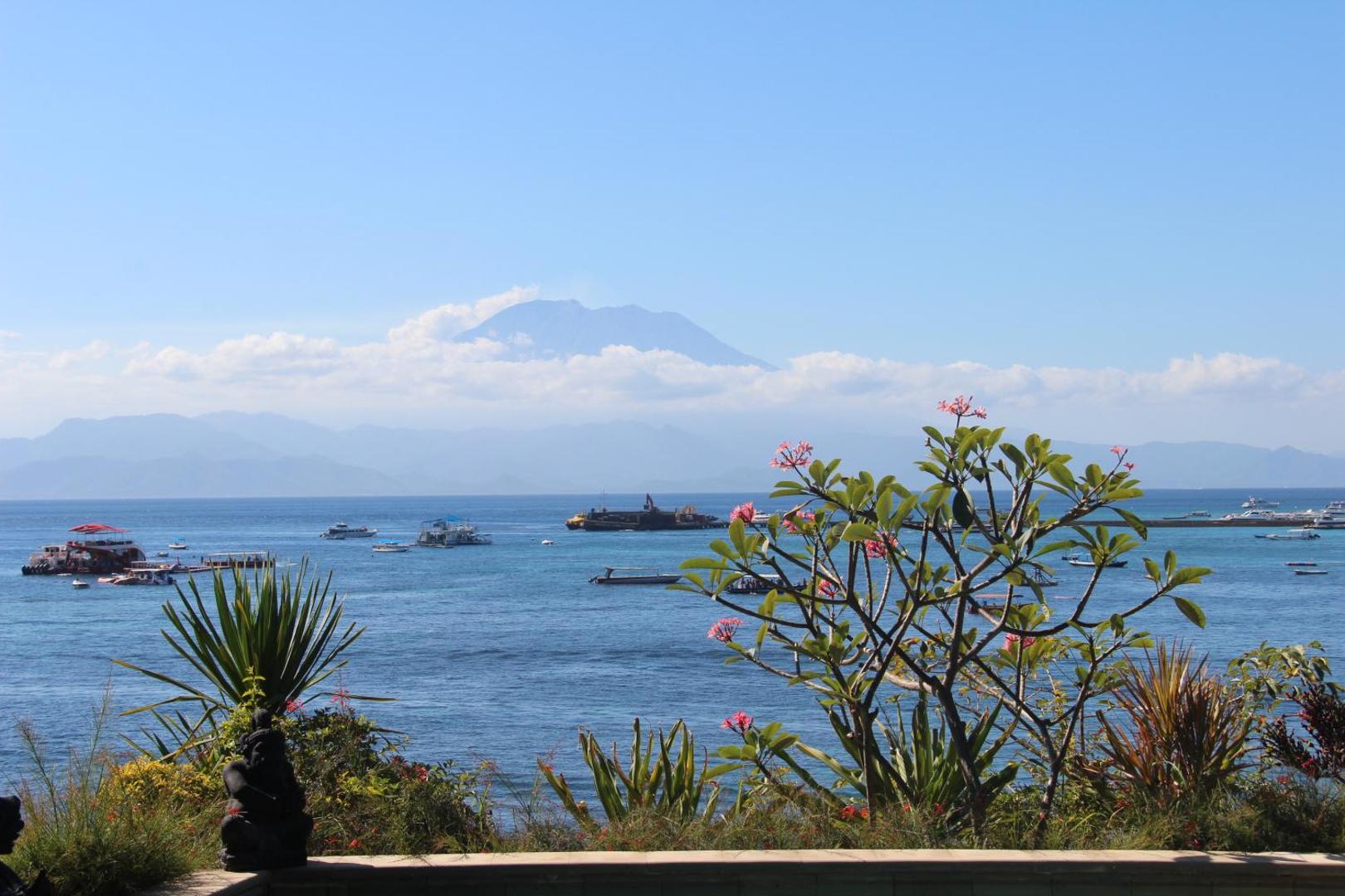 Agung View
