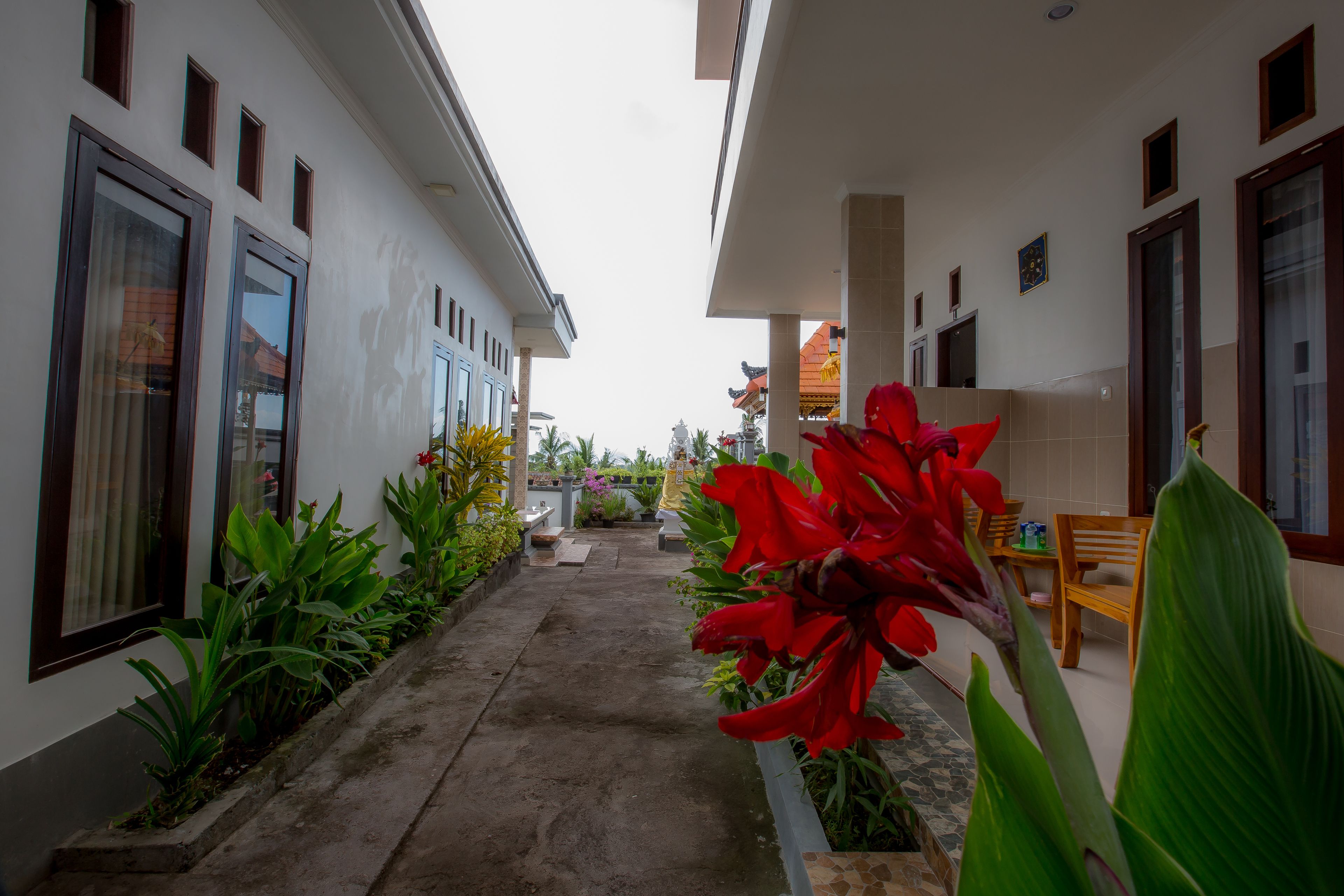 Arie Guest House