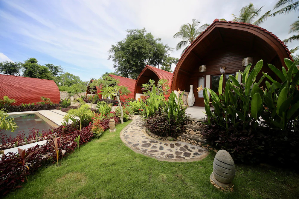 Jungle Paradise