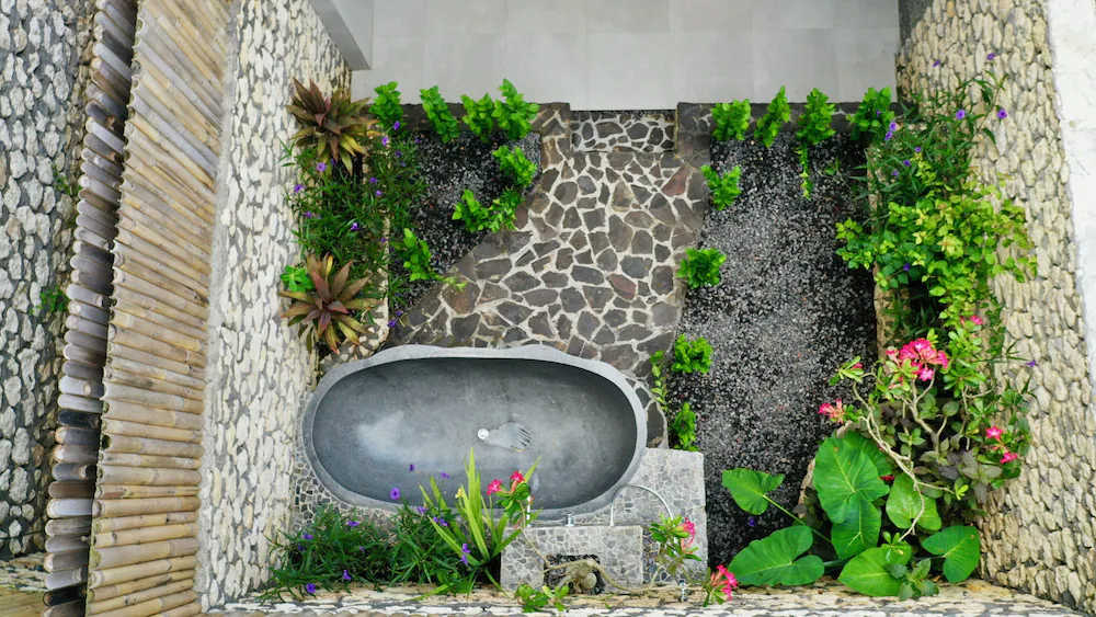 Jungle Paradise