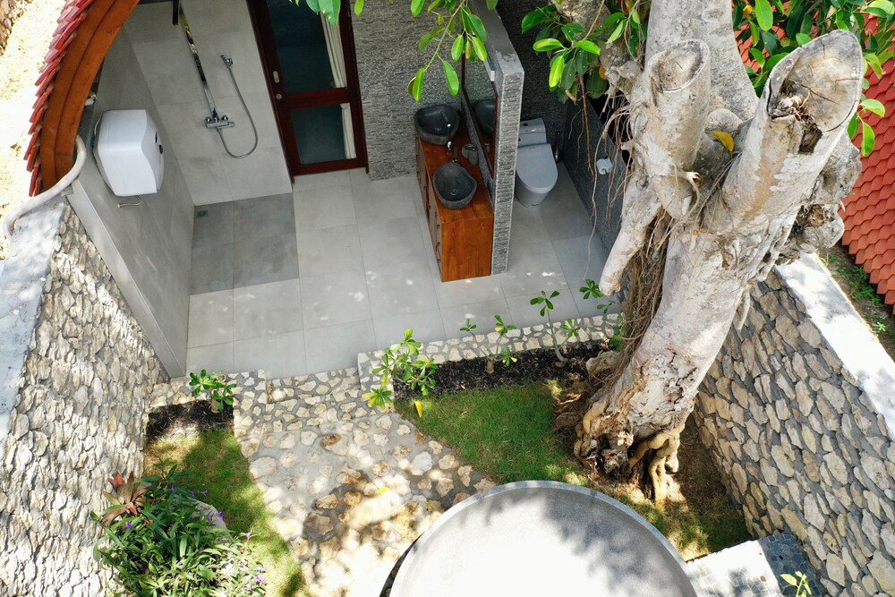 Jungle Paradise
