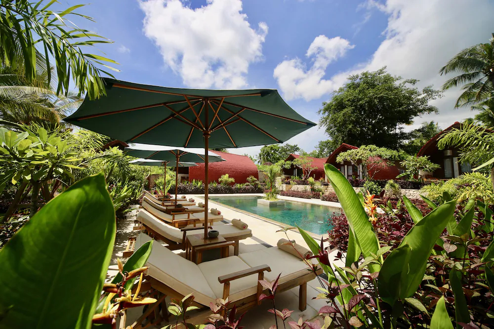 Jungle Paradise