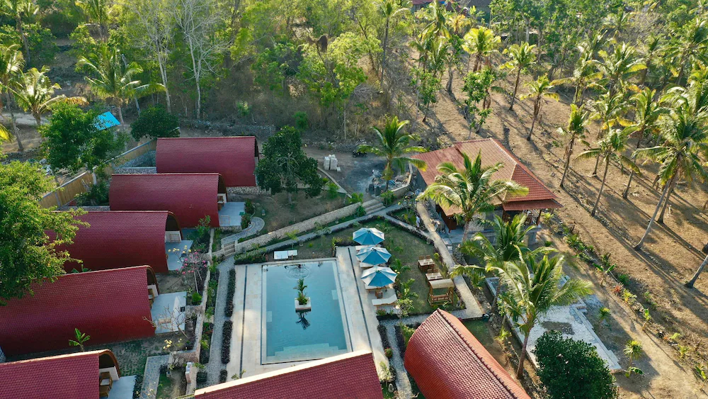 Jungle Paradise