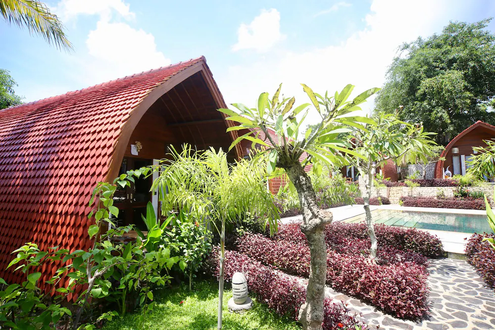 Jungle Paradise