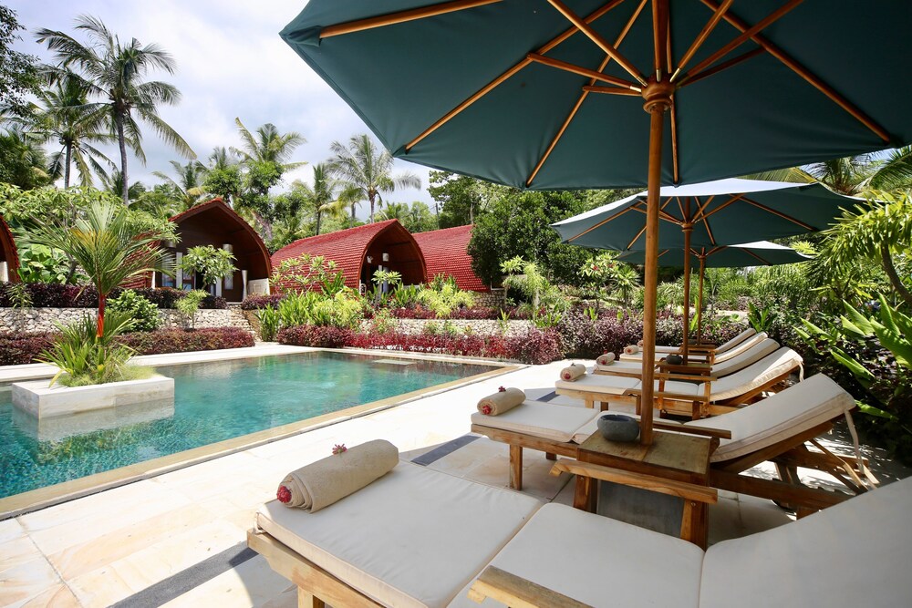 Jungle Paradise