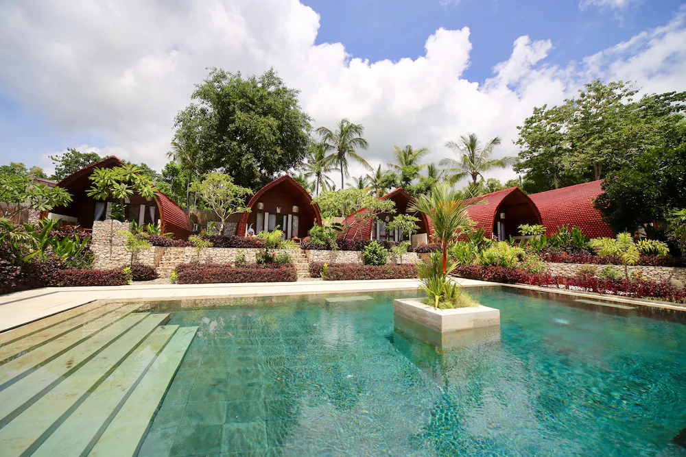 Jungle Paradise