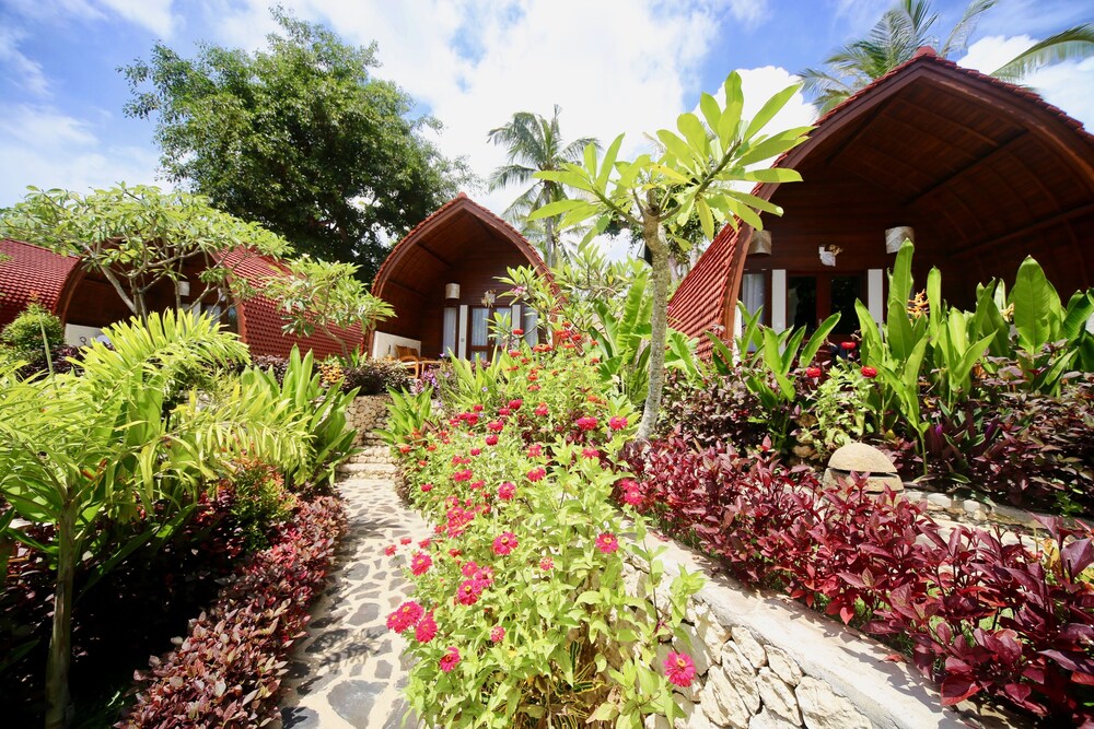 Jungle Paradise