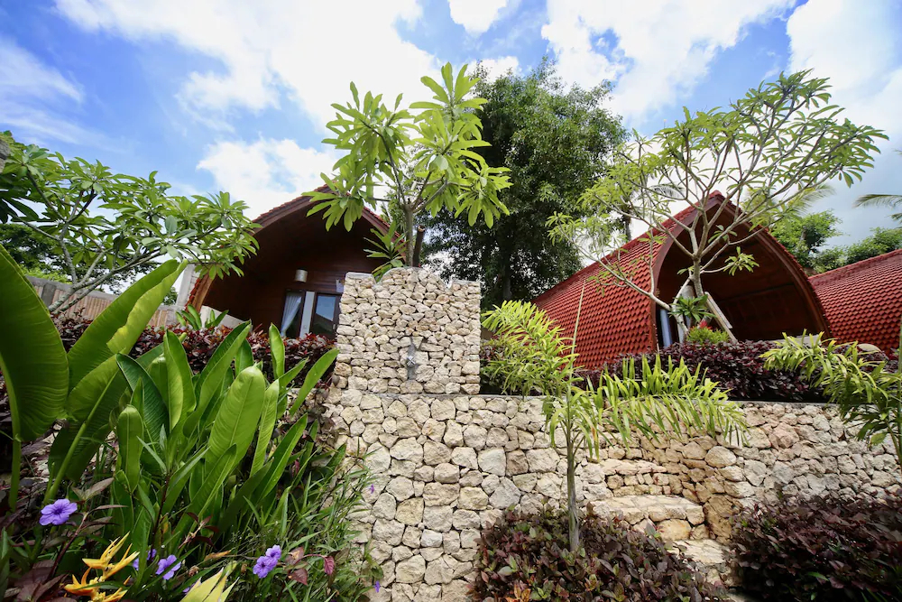 Jungle Paradise