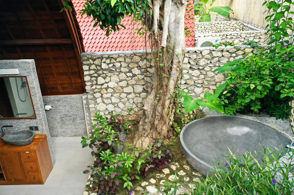 Jungle Paradise