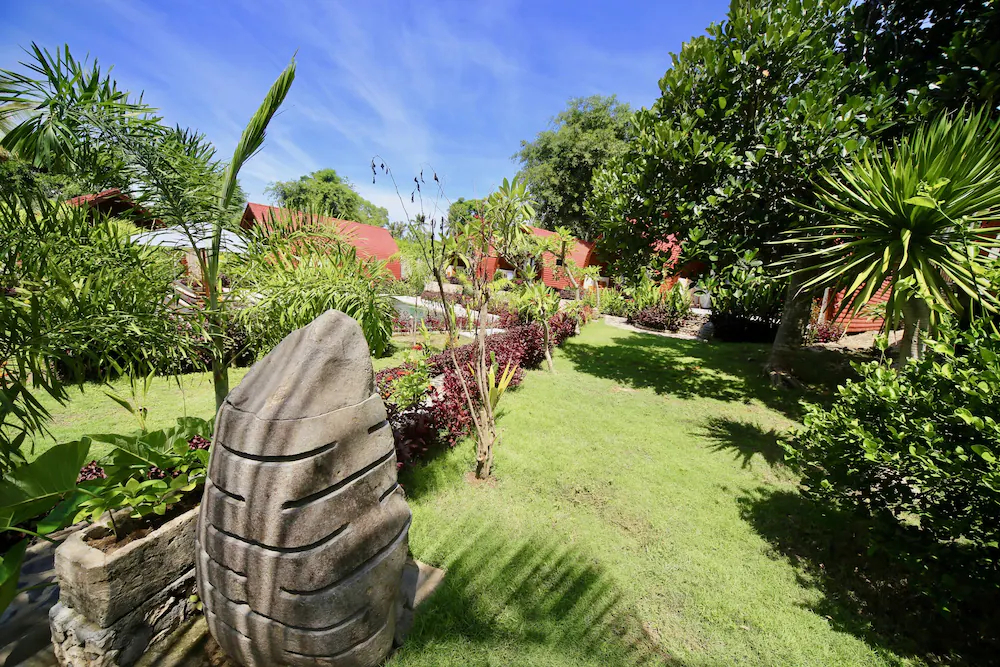 Jungle Paradise