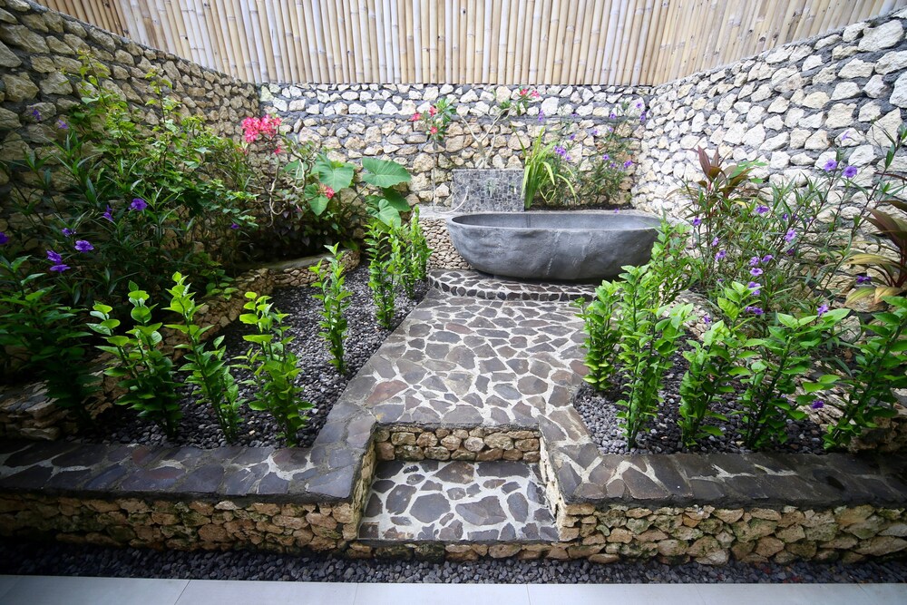 Jungle Paradise