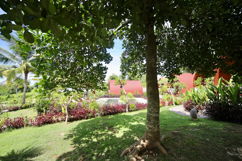 Jungle Paradise