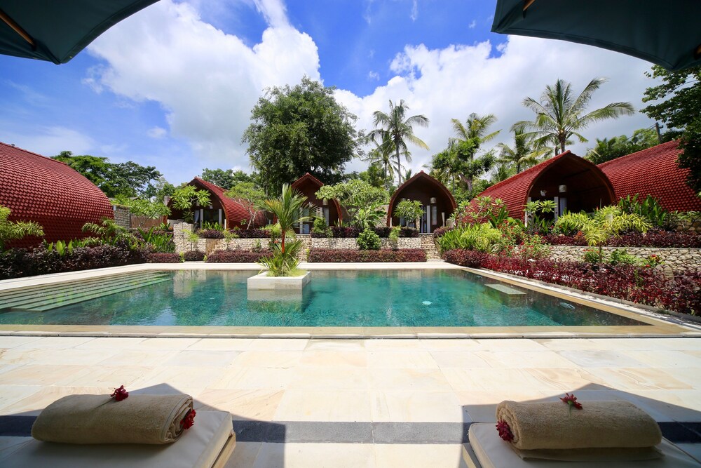 Jungle Paradise