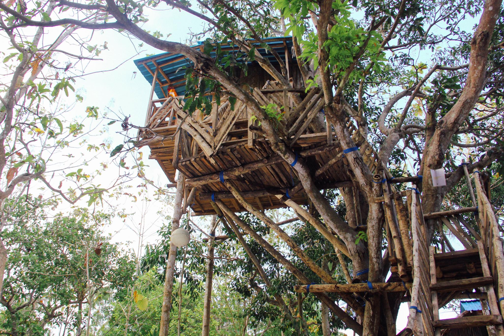 Nyuh Bengkok Tree House