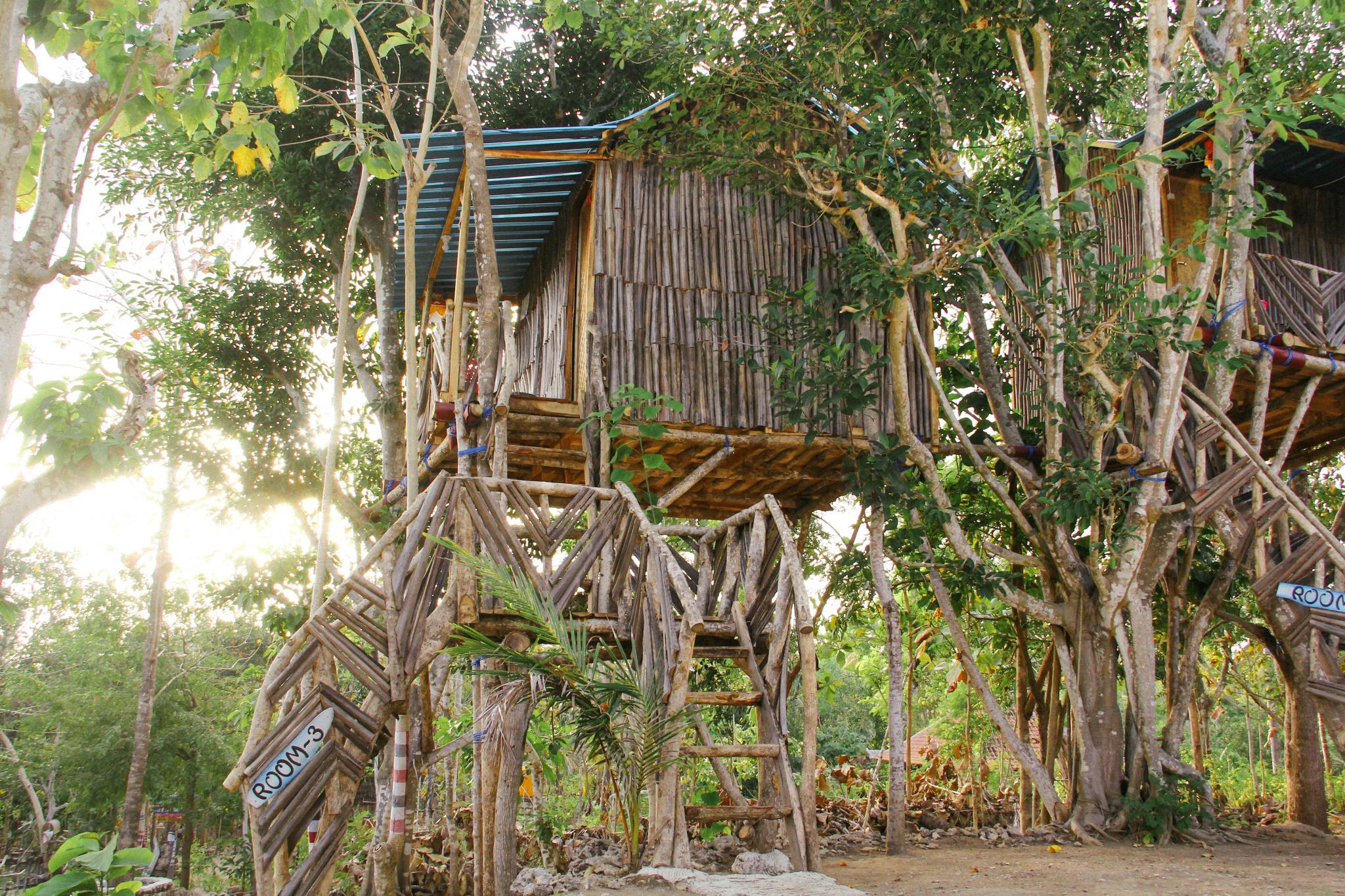 Nyuh Bengkok Tree House