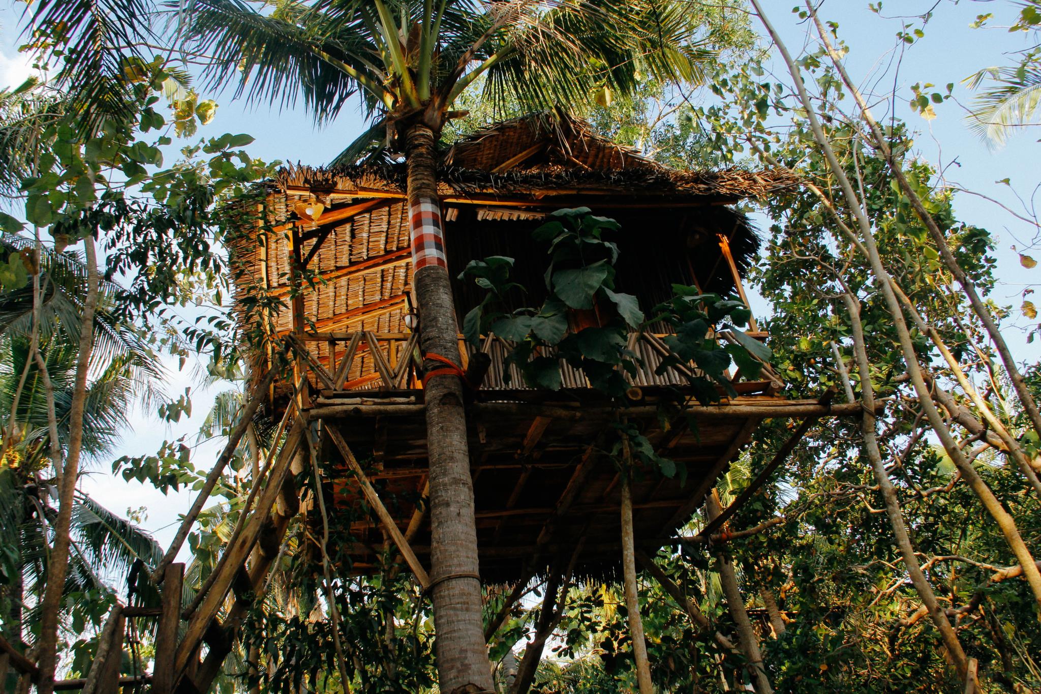Nyuh Bengkok Tree House