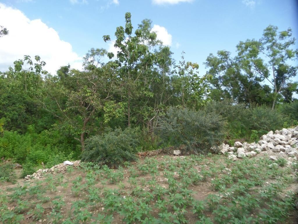 Peaceful Penida Hill Bungalow