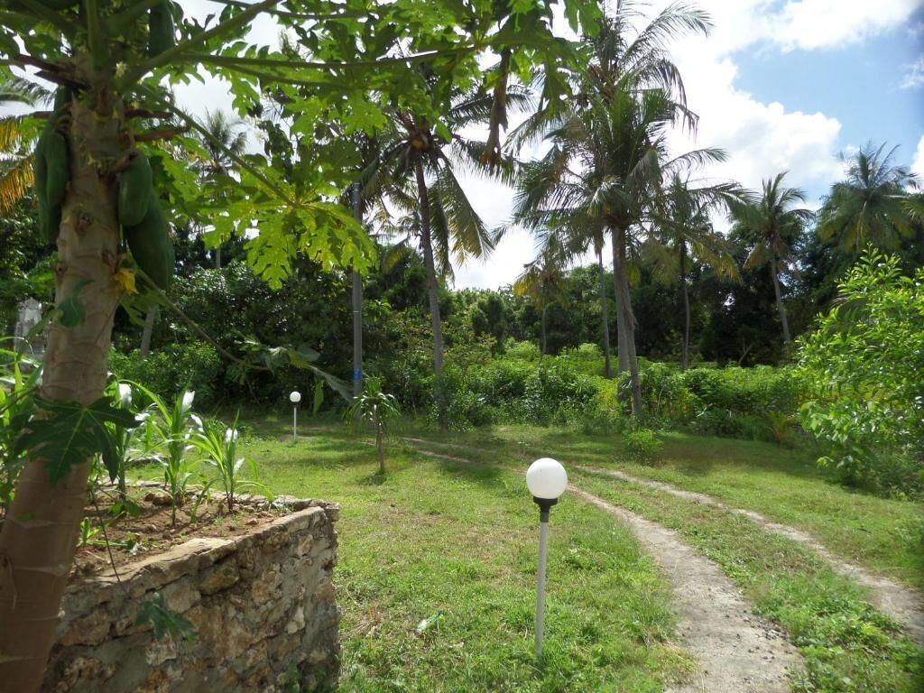 Peaceful Penida Hill Bungalow