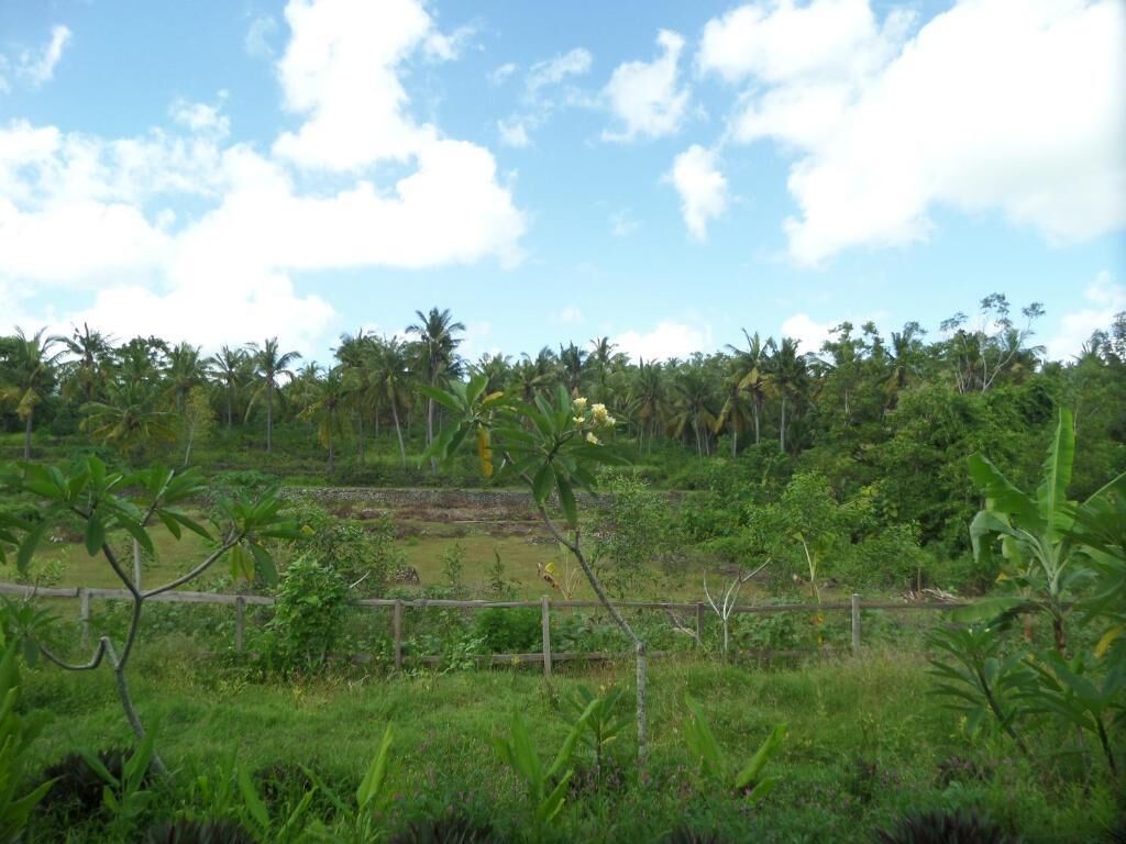 Peaceful Penida Hill Bungalow