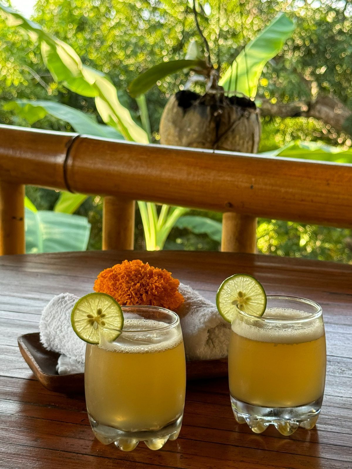 Penida Bambu Green Suites