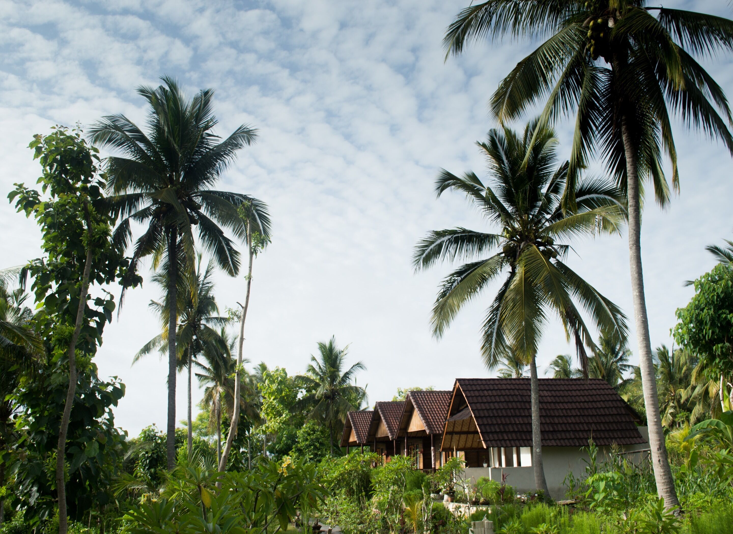 Crystal Bay Bungalows
