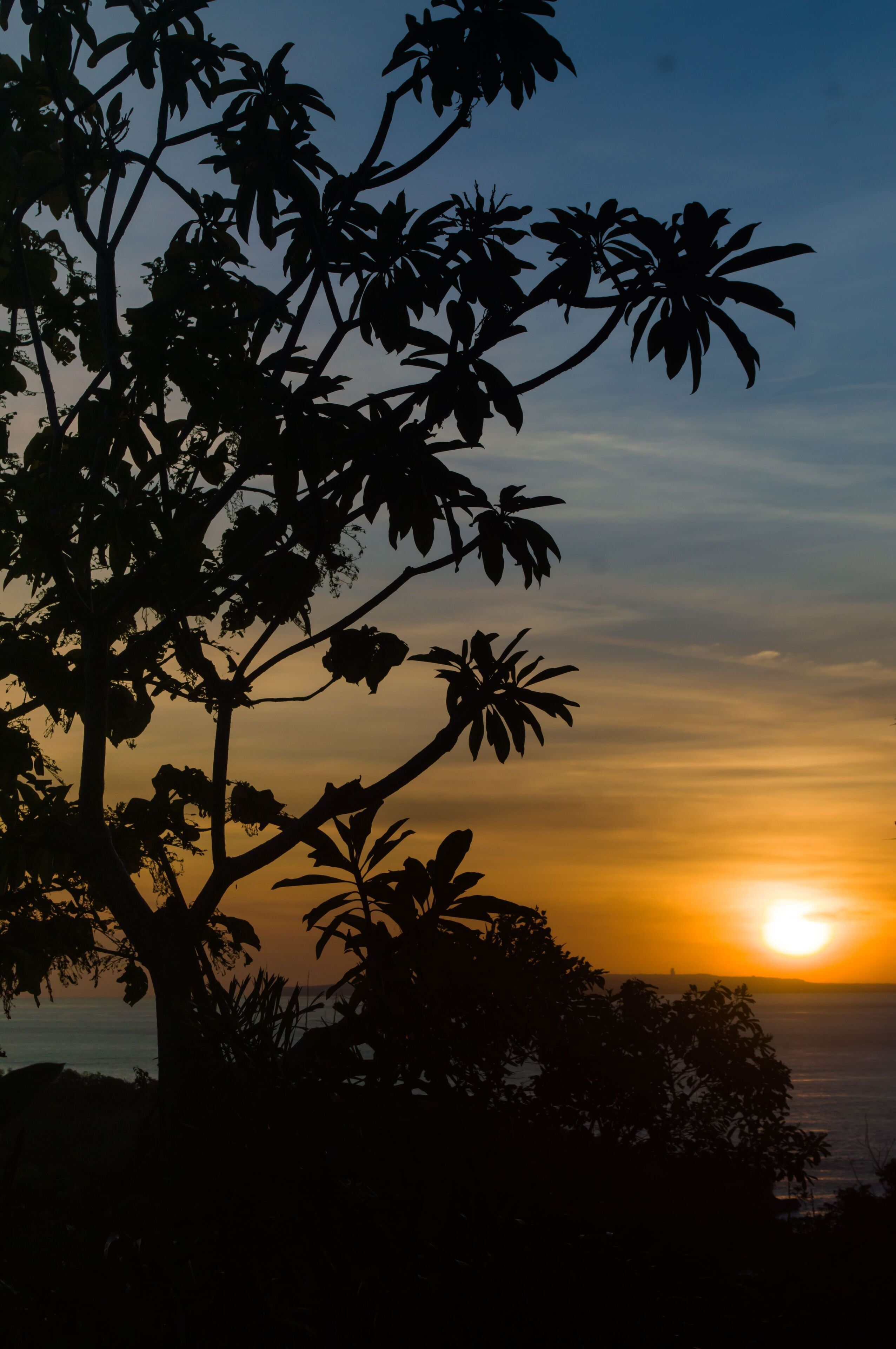 Penida Sunset Ocean View Bungalows
