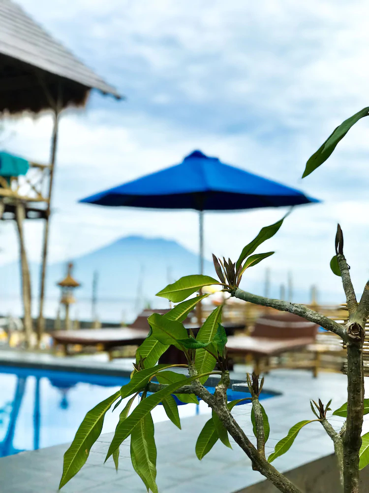 Pondok Bamboo