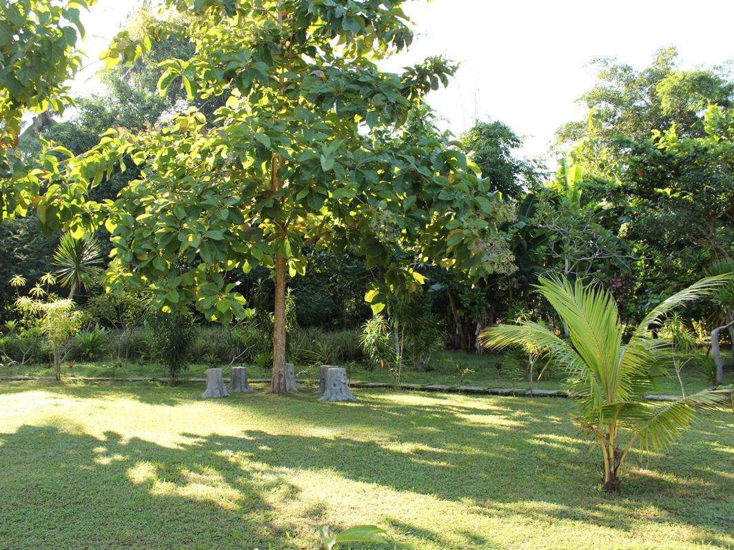 Ring Sameton Resort Hotel