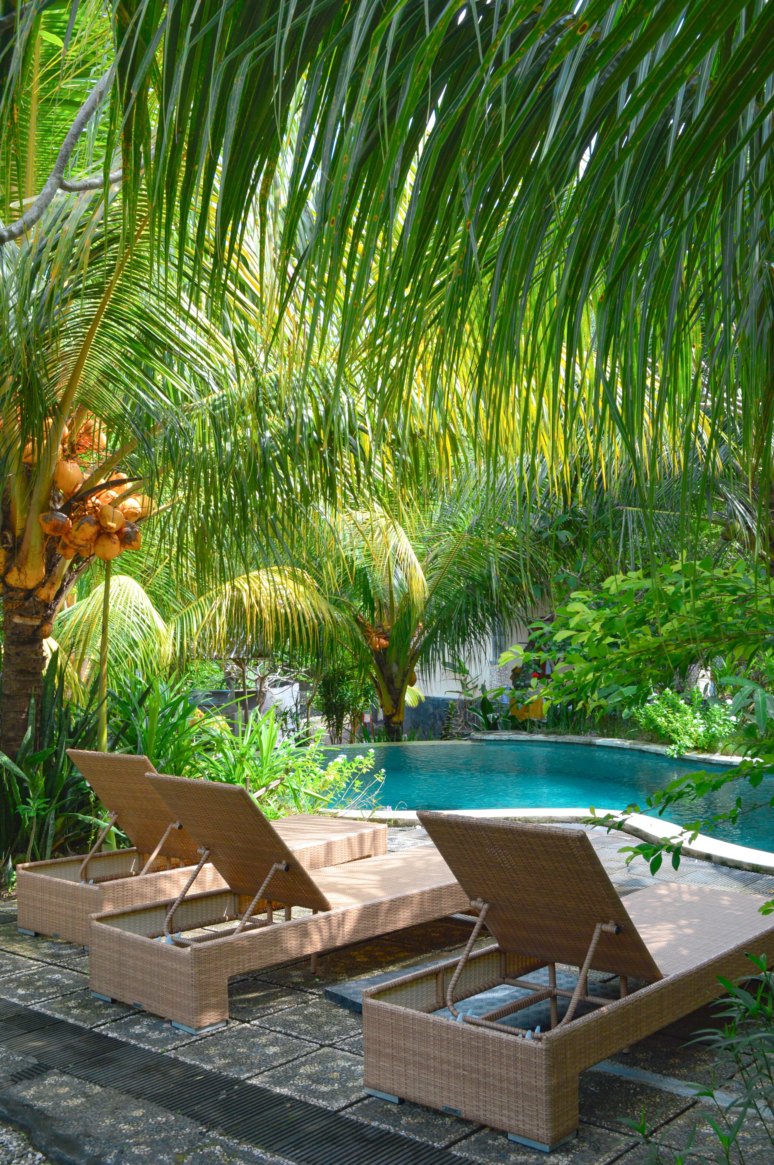 Tarzan Marriott on Penida