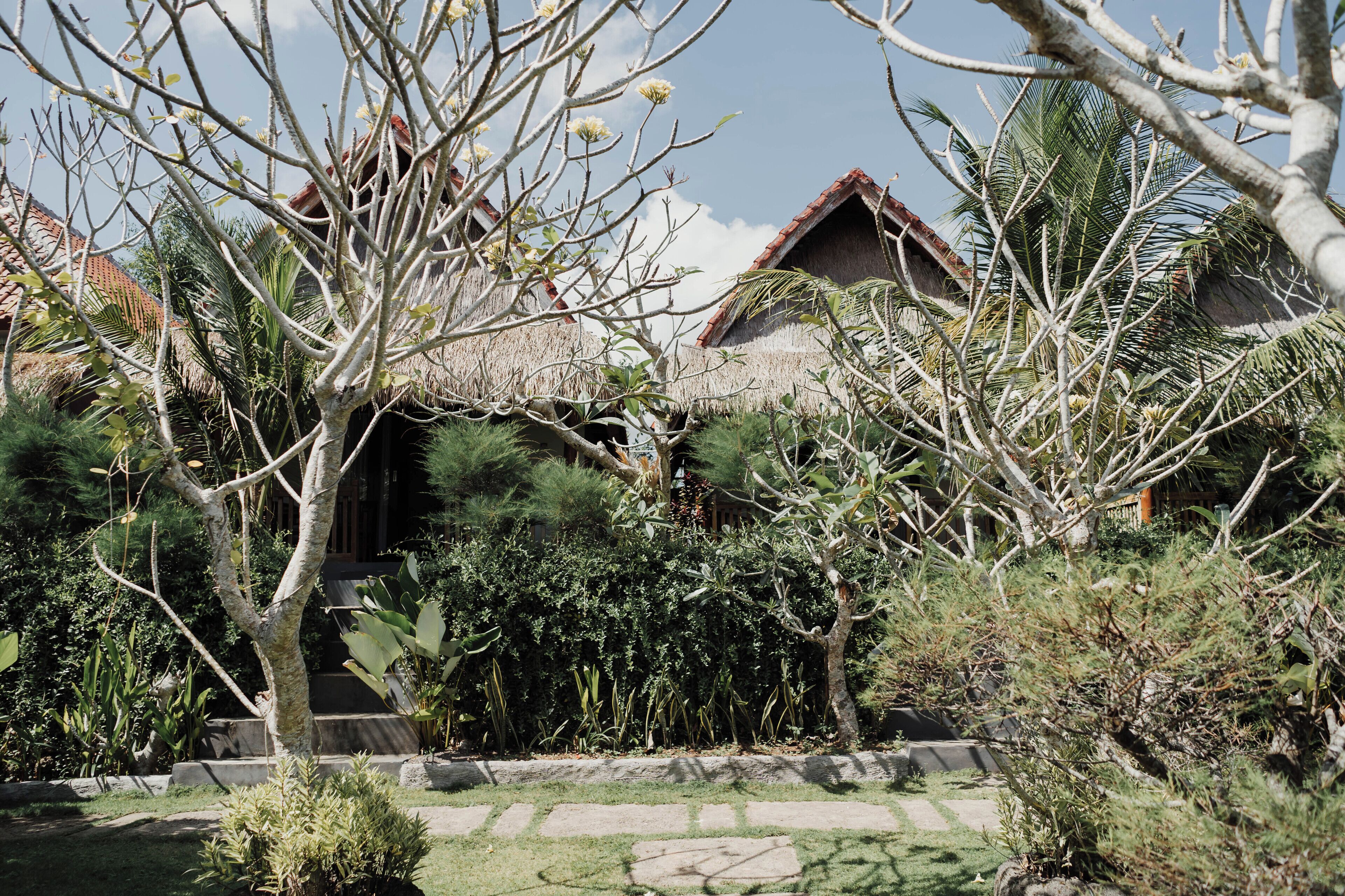 Temeling Jungle Inn