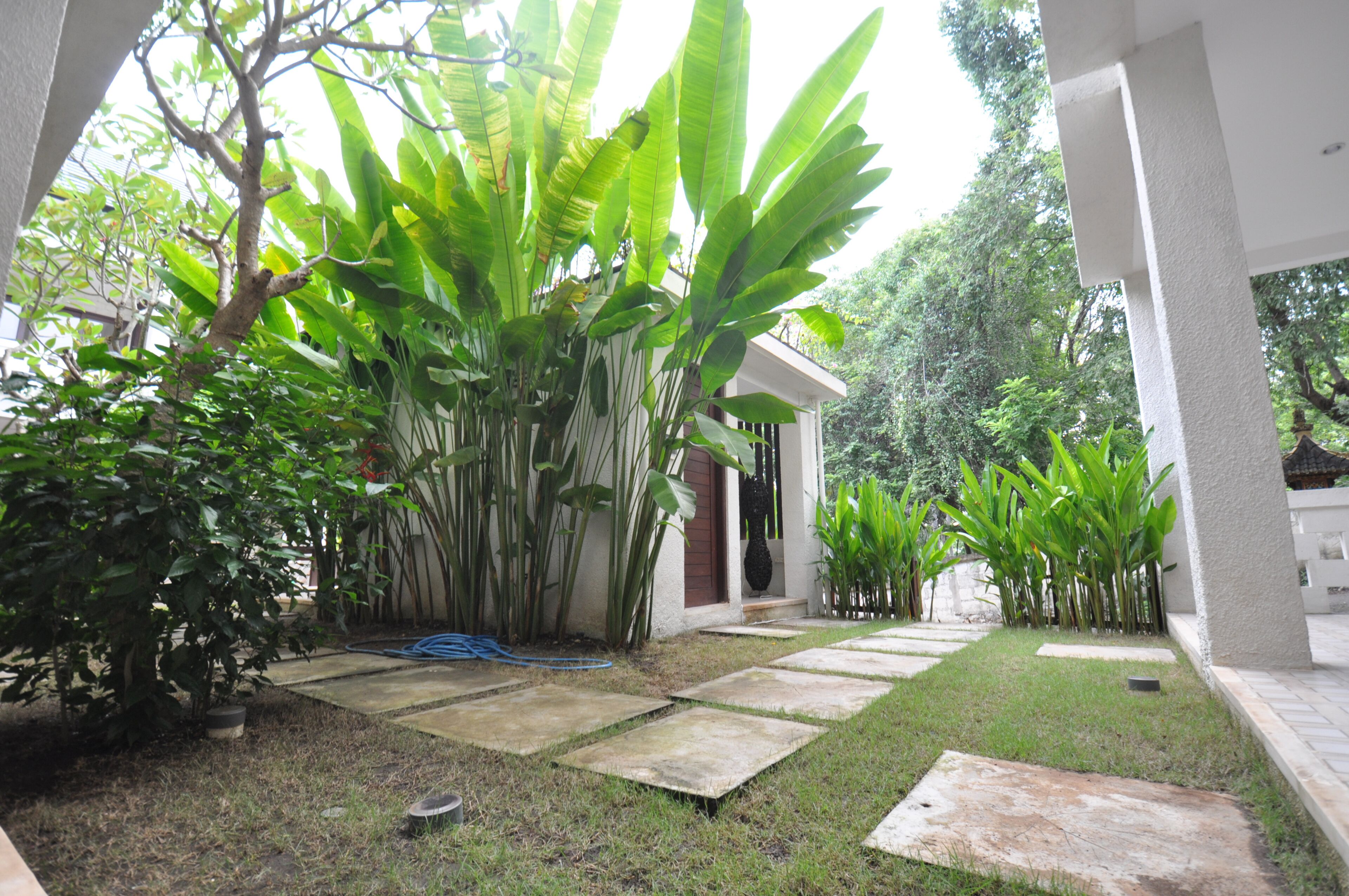 The Lokal Penida